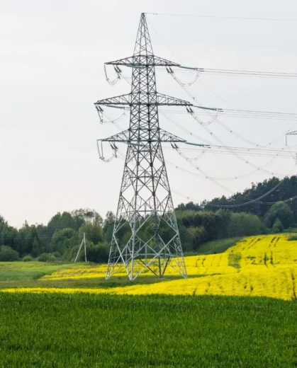 Infrastruktura elektroenergetyczna na prywatnym gruncie w sąsiedztwie lasu. Kluczowy kontekst dla poradnika o tym, jak nie stracić na sprzedaży działki ze służebnością przesyłu.