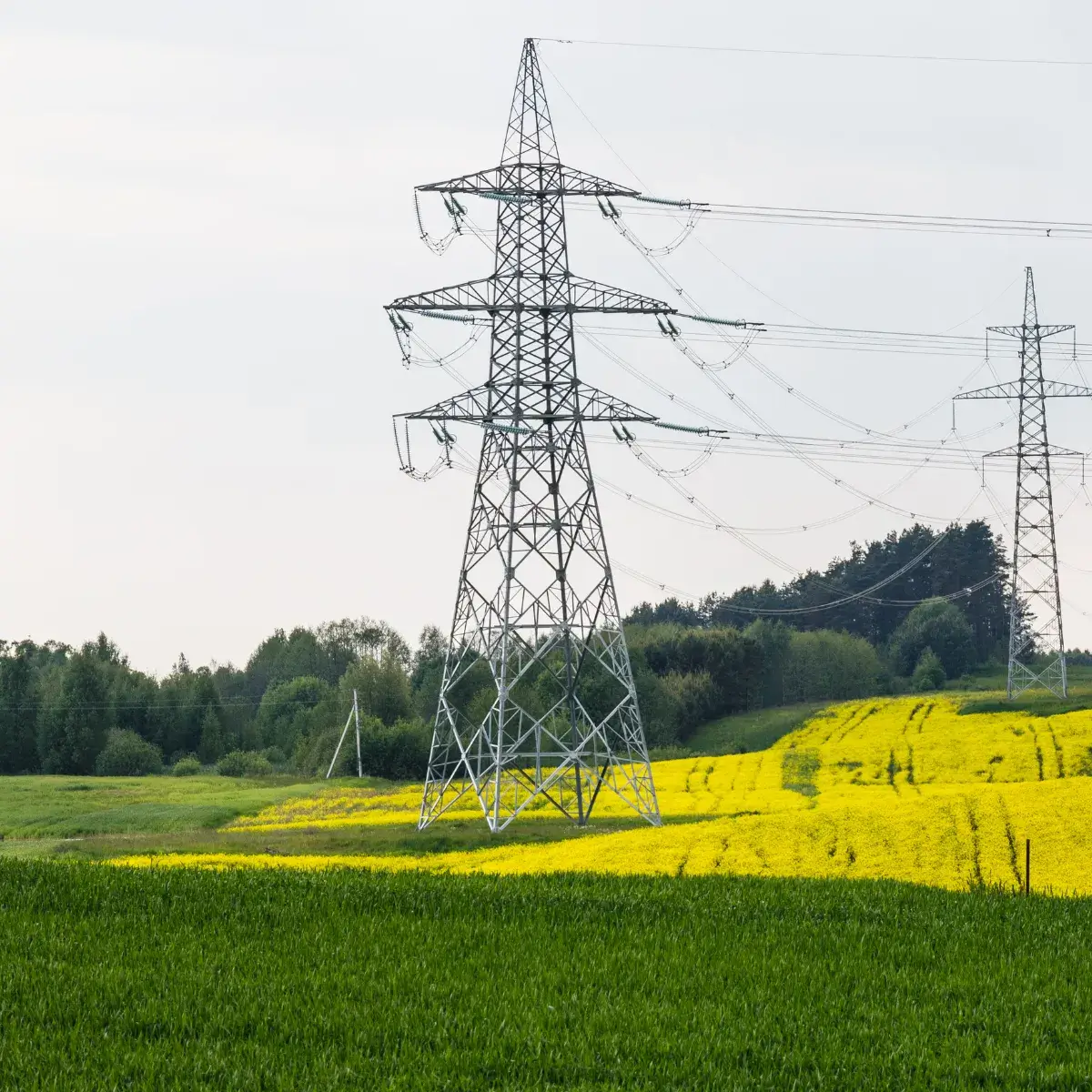 Infrastruktura elektroenergetyczna na prywatnym gruncie w sąsiedztwie lasu. Kluczowy kontekst dla poradnika o tym, jak nie stracić na sprzedaży działki ze służebnością przesyłu.